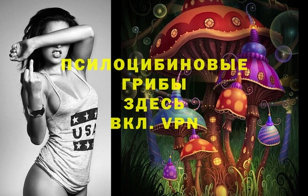 метадон Козельск