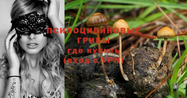 a pvp Корсаков