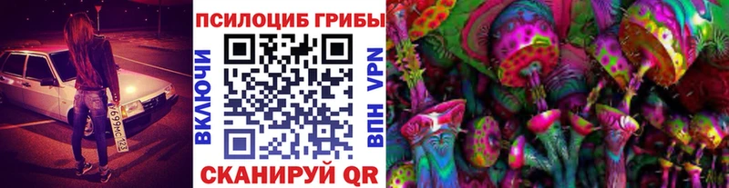 Купить закладки  Будённовск  Псилоцибиновые грибы прущие грибы 