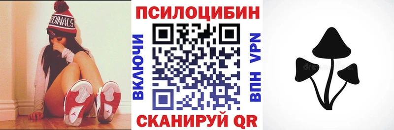 Галлюциногенные грибы прущие грибы Будённовск